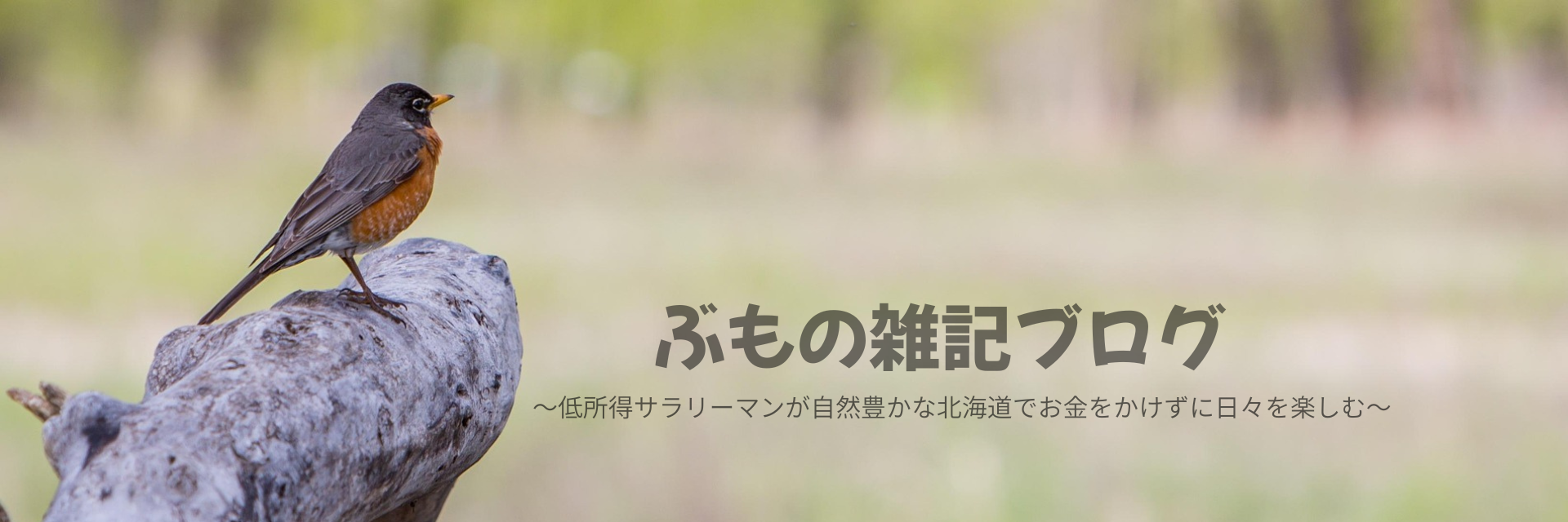 ぶもの雑記ブログ（ぶもログ）